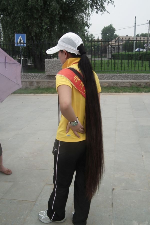 Long hair cicerone in Hebei province