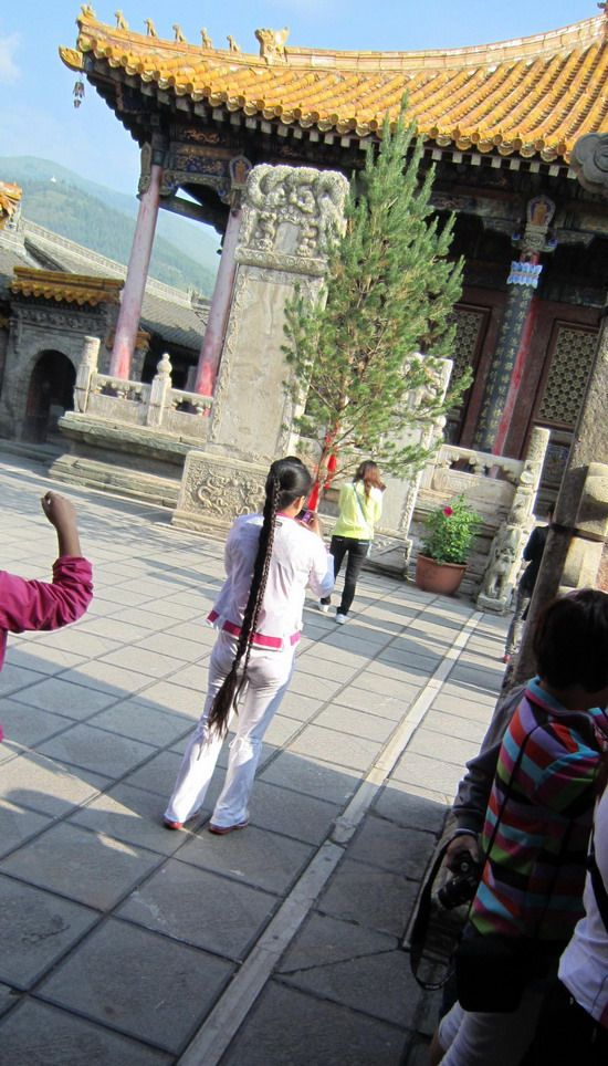 Long braid travelled in Wutai Moutain, Shanxi province