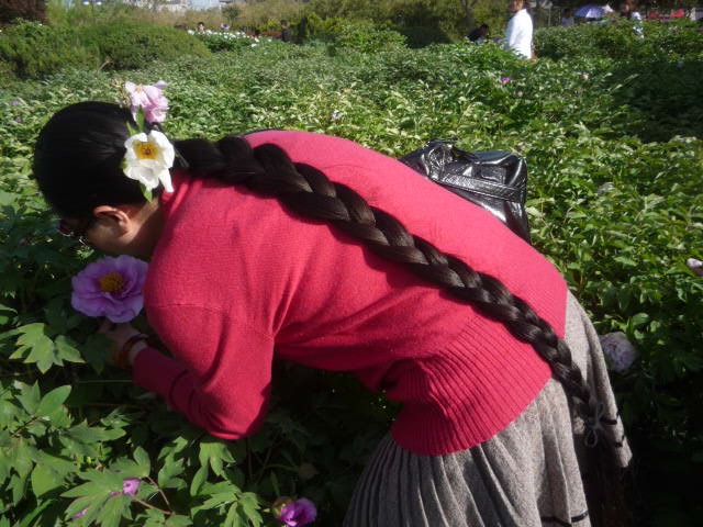 long braid travelled in peony park