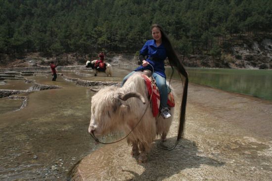 Feng Wan travelled in Lijiang, Yunan province