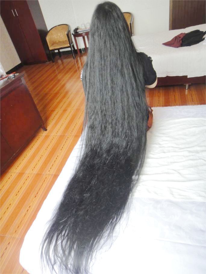 1.6 meter long hair-fenghui NO.211